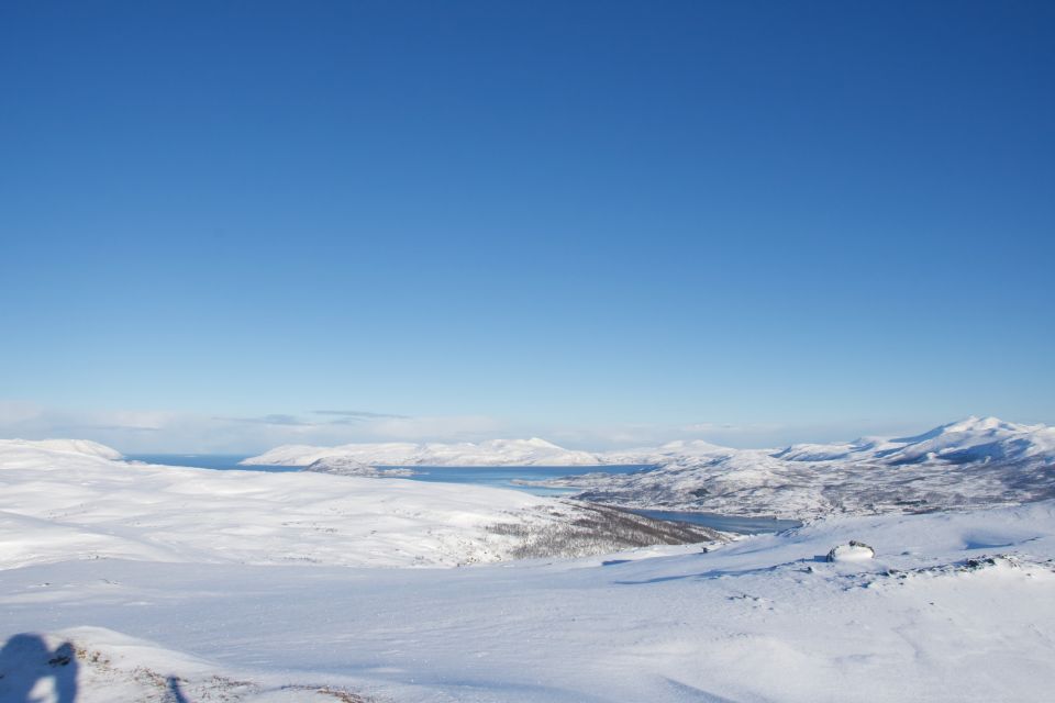 From Tromsø: Guided Snowshoe Hike With Cafe Visit - Good To Know