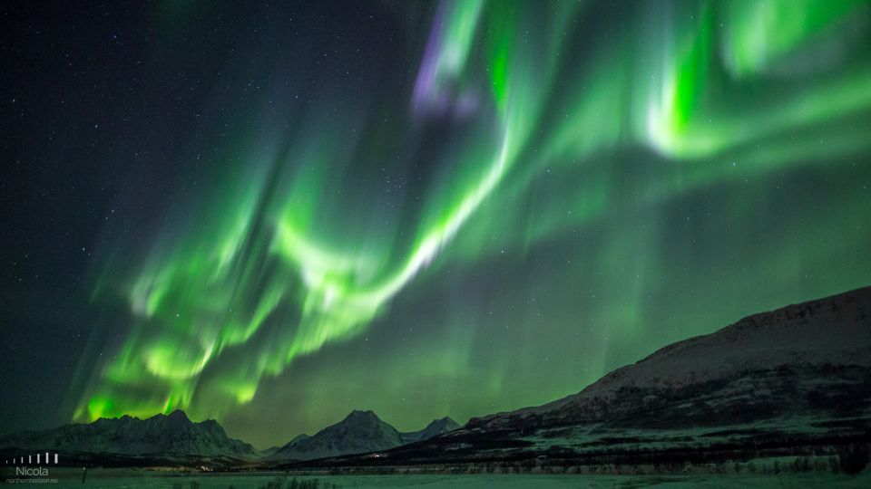 From Tromsø: Northern Lights Tour - Good To Know