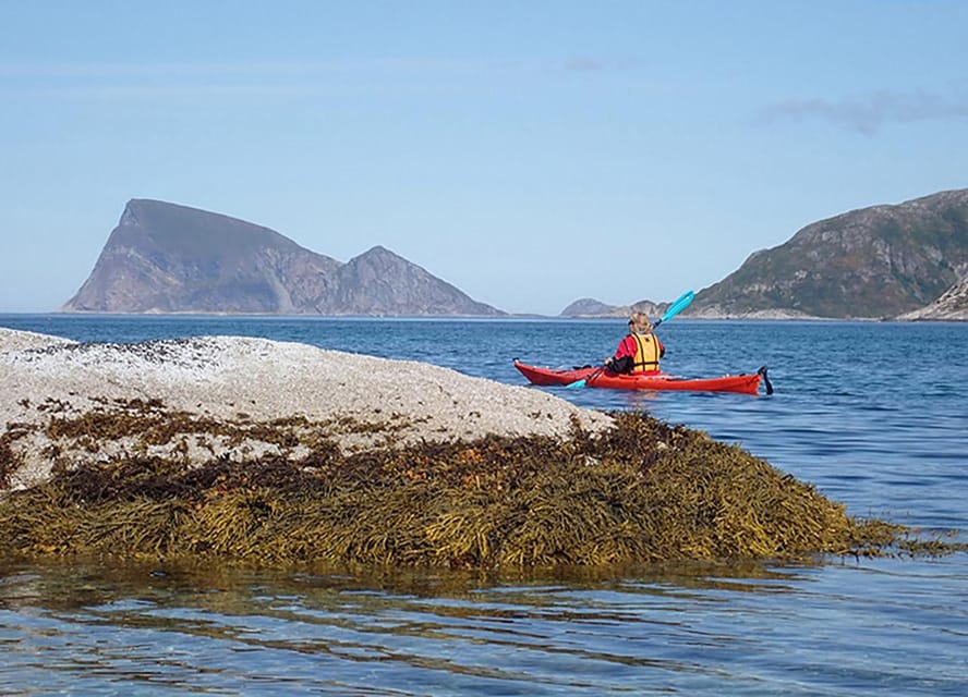 From Tromsø: Sea Kayaking Tour at Sommarøy With Transfer - Good To Know