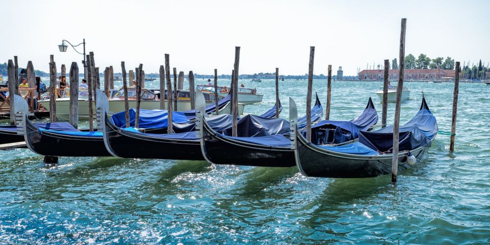 From Umag: Venice Boat Trip With Day or One-Way Option - Key Points