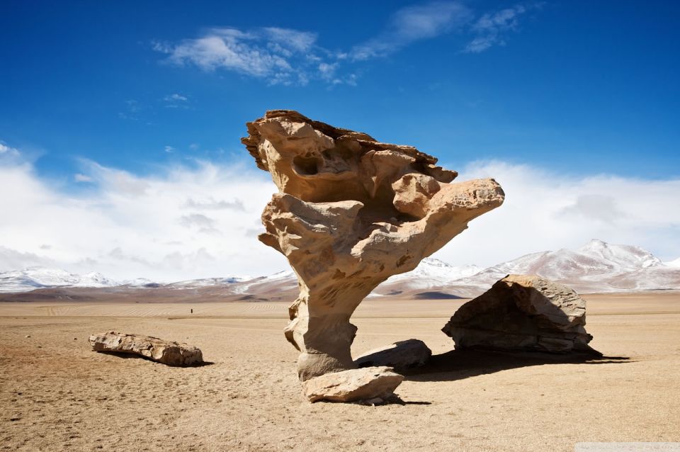 From Uyuni: Salt Flats Highlights Jeep Tour With Lunch - Key Points