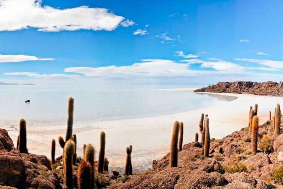 From Uyuni | Tour Uyuni Salt Flat & Train Cemetery Full Day - Key Points