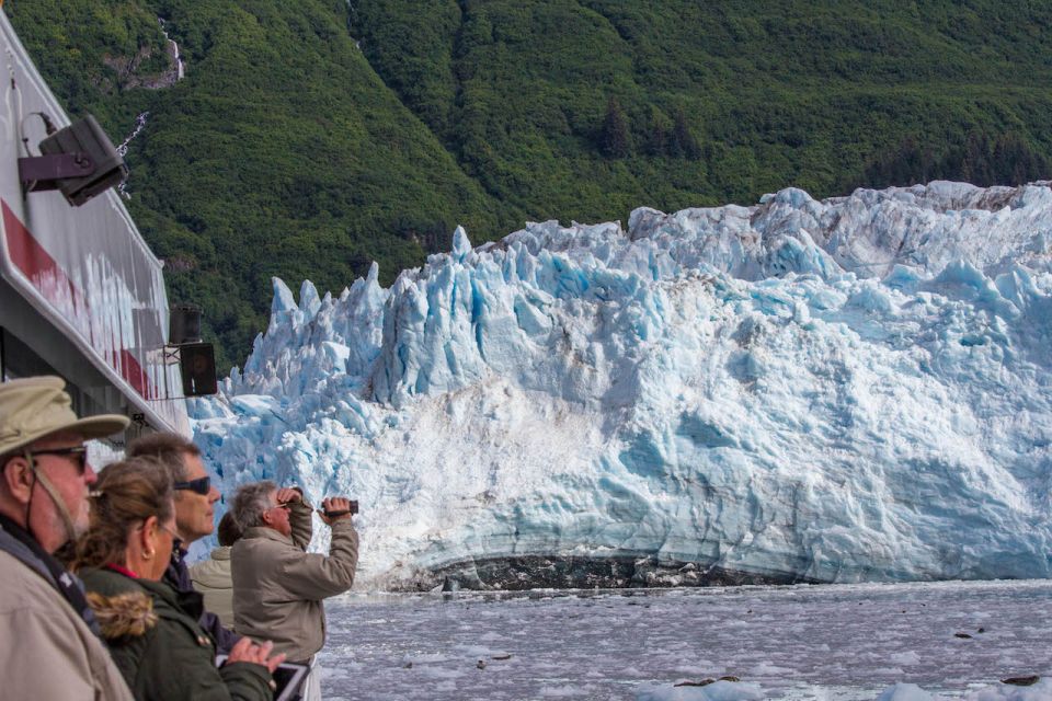 From Valdez: 7.5-hour Meares Glacier & Wildlife Cruise - Key Points