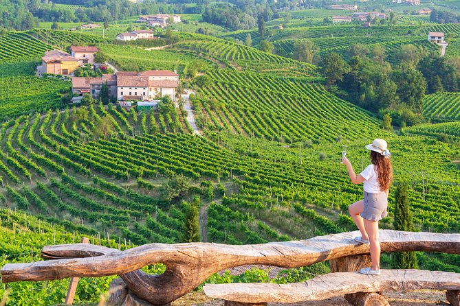 From Venice : Wine and Food Tour in the Prosecco Hills - Key Points