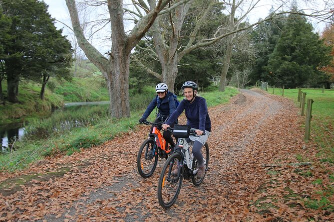 Full Day Ebike Tour in Karangahake Gorge (ex Auckland) - Key Points