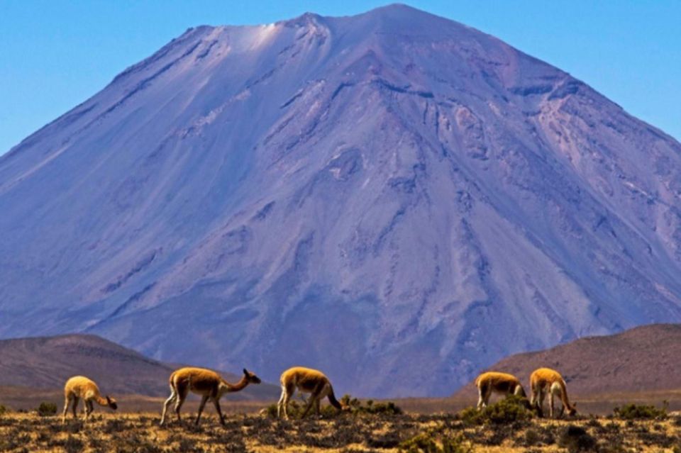 Full Day Excursion to the Salinas Lagoon Arequipa