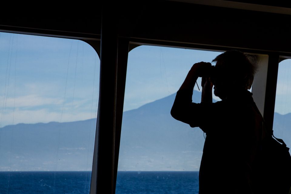 Full-Day Gomera Jeep Safari From Puerto De La Cruz - Key Points