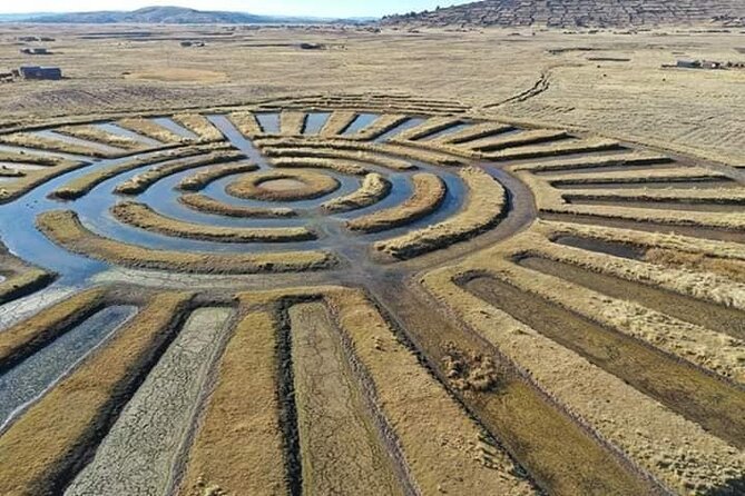 Full Day Guided Tour of the Aymara Route From Puno - Key Points