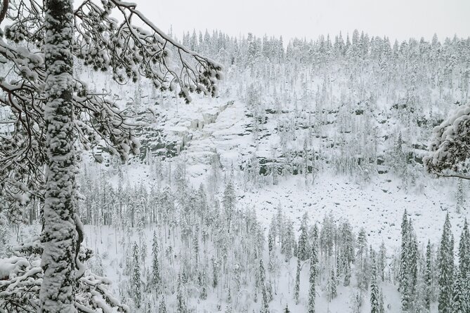 Full Day Hiking in Korouoma Canyon Frozen Waterfalls - Key Points