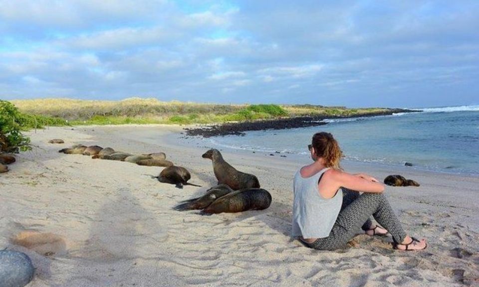 Full Day Leon Dormido and Lobos Island Tour - Key Points