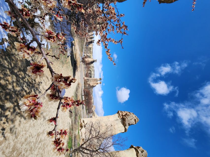 Full Day Private Tour in Cappadocia (Car and Guide) - Key Points