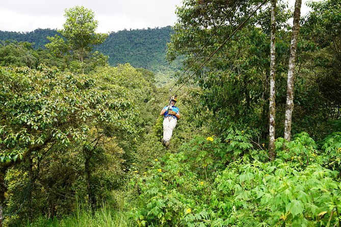 Full-Day Private Tour of Mindo Cloud Forest