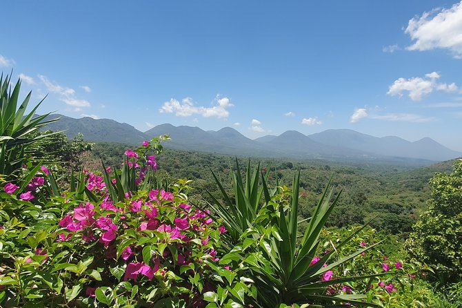 Full Day Route of the Flowers Visit Four Colonial Towns and Coffee Farm - Key Points