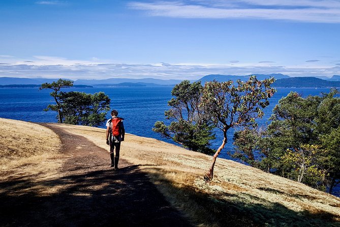 Full Day San Juan Island Kayaking Adventure - Key Points