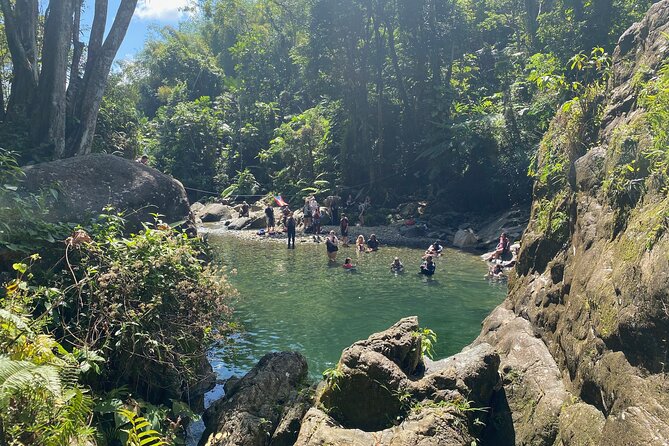 Full-Day Tinajas Hiking to El Yunque Rainforest With Transport - Transportation Details