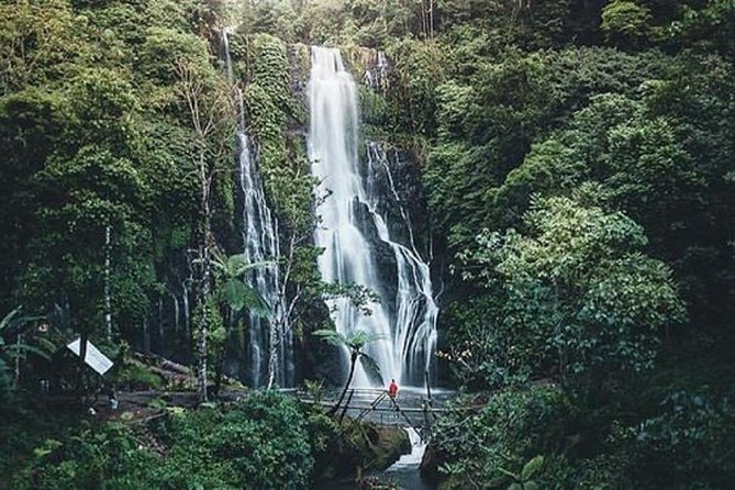 Full-Day Tour: Bedugul Temple, Banyumala Twin Waterfall, Jatiluwih Rice Terrace - Tour Overview