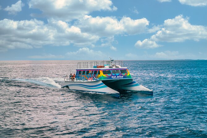 Full Day Vieques Beach Tour by Catamaran From Fajardo - Key Points