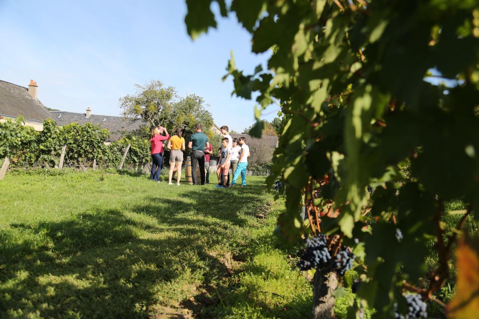 Full Day Wine Tour With Lunch at the Winery : Vouvray&Chinon - Key Points
