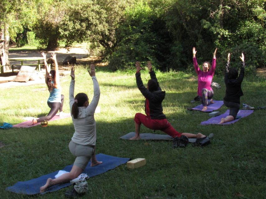 Full Day Yoga and Rock Climbing Experience. Cajón Del Maipo - Key Points