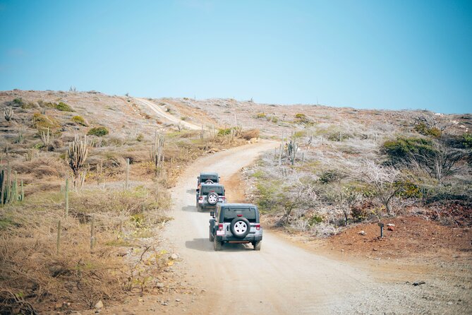 Fun Only Jeep Tour - Overview of the Jeep Tour