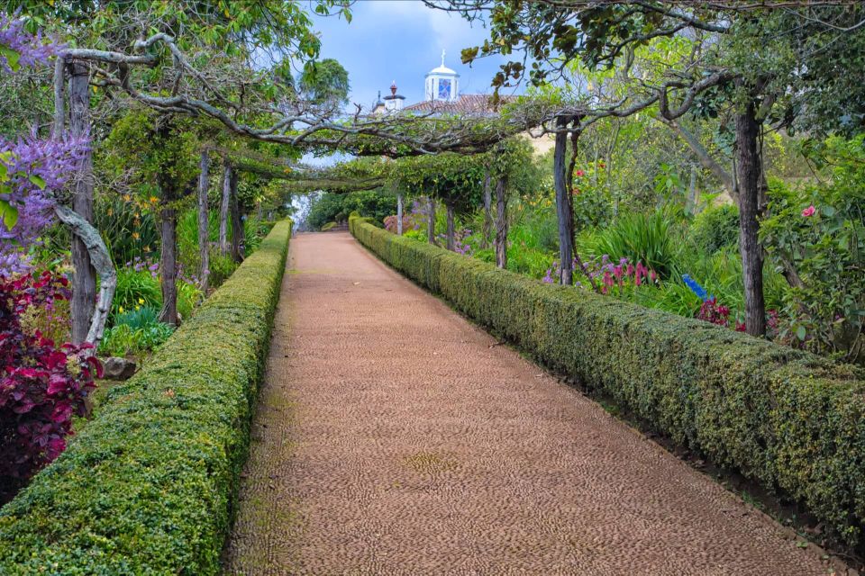 Funchal: Palheiro Gardens and Old Town Private Tuk Tuk Tour - Key Points