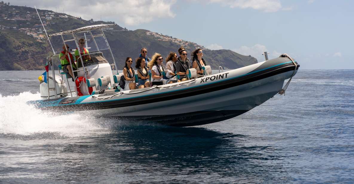 Funchal: Swim With Dolphins / Dolphin&Whale Watching by RIB - Key Points