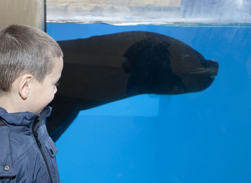 Gardaland SEA LIFE Aquarium: Open Date Entry Ticket - Key Points