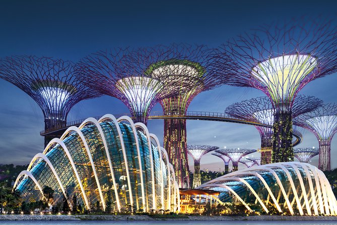 Gardens by the Bay With One Way Transfer (2 Domes) - Key Points