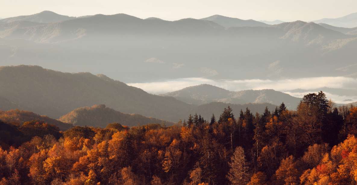 Gatlinburg: App-Based Great Smoky Mountains Park Audio Guide - Key Points