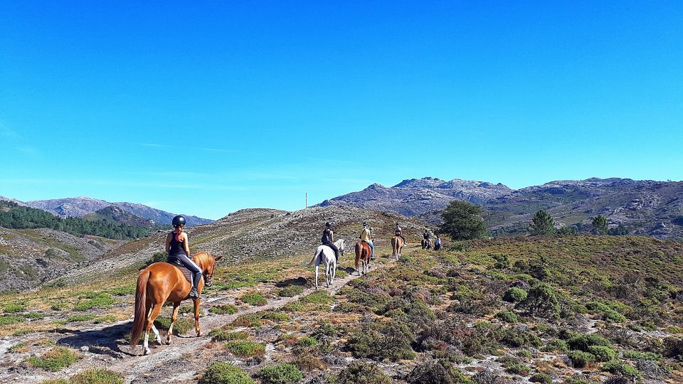 Gerês Braga: Horseback Ride in Peneda Gerês National Park - Key Points