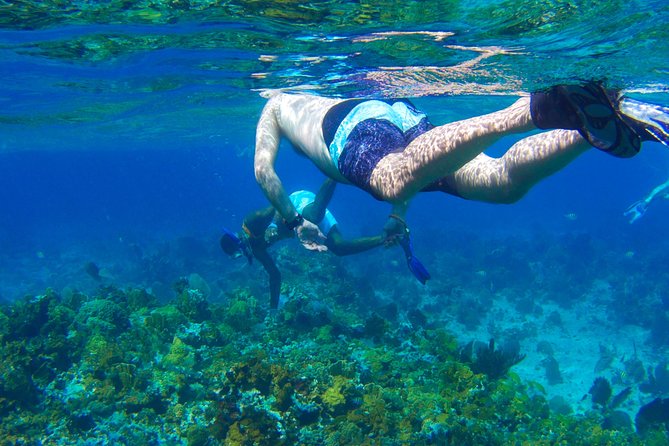 Glass Bottom Boat Ride/Snorkeling/Booby Cay Island From Negril - Key Points