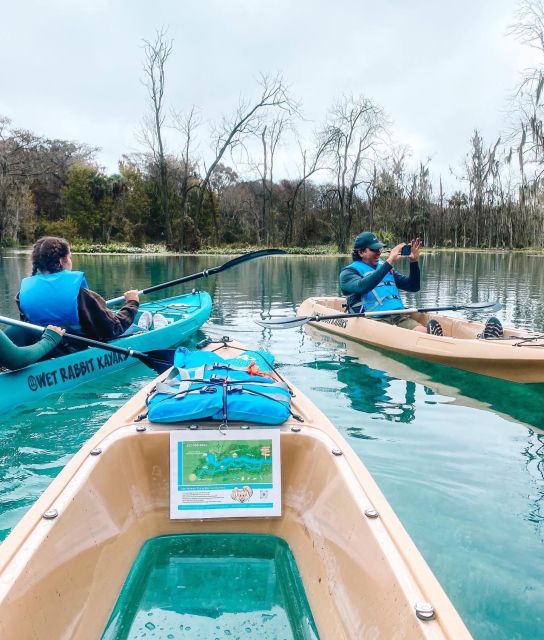 Glass Bottom Kayak Guided Tour: Silver Springs - Key Points