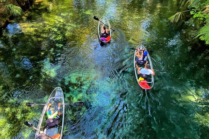 Glass Bottom Kayak Tours of Silver Springs - Key Points