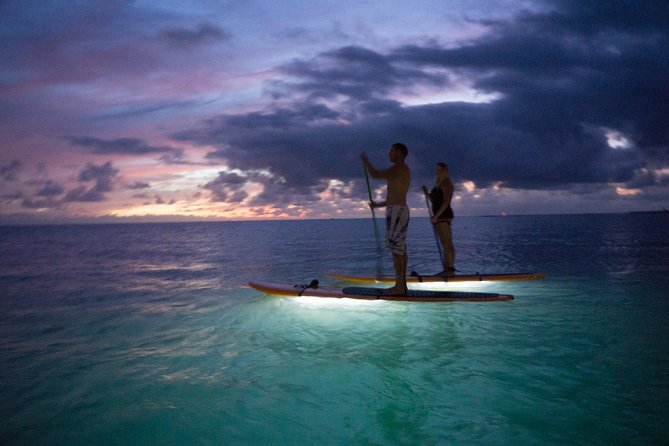 GLOW Stand Up Paddle at Twilight - Key Points