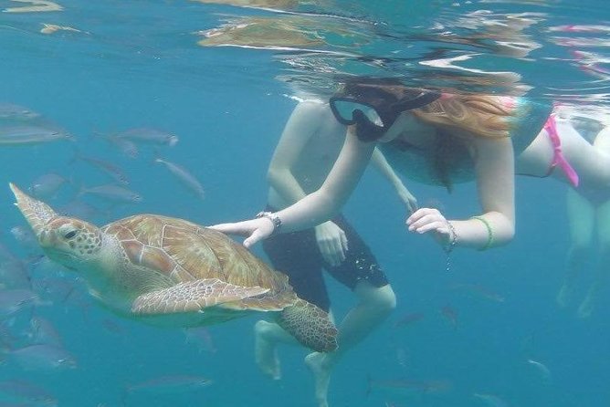 Good Times Too Premium Catamaran Lunch Cruise - Highlights