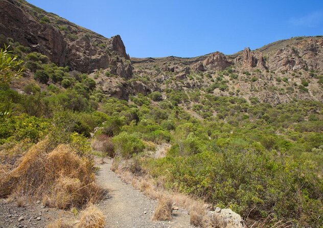 Gran Canaria 7 Beauty Small Group Tour & Cosy Tapas Picnic - Good To Know