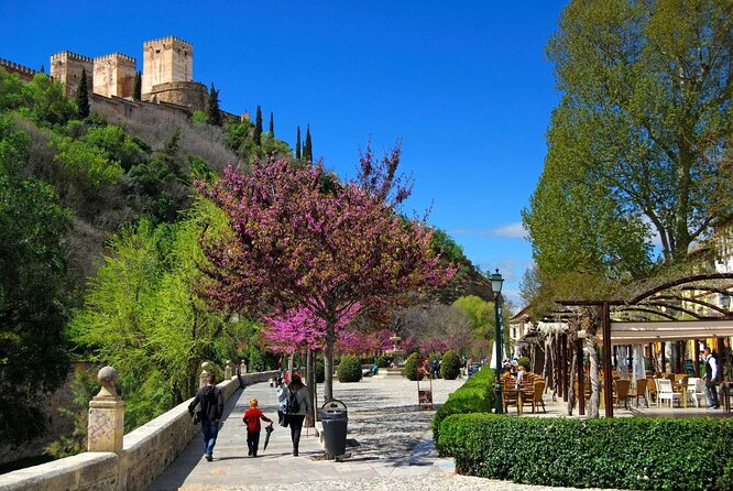 Granada Private Segway Tour - Key Points