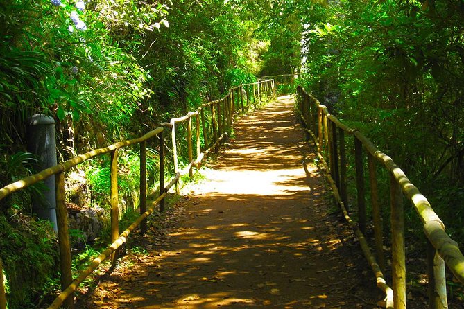 Green Cauldron Levada Walk From Funchal - Good To Know