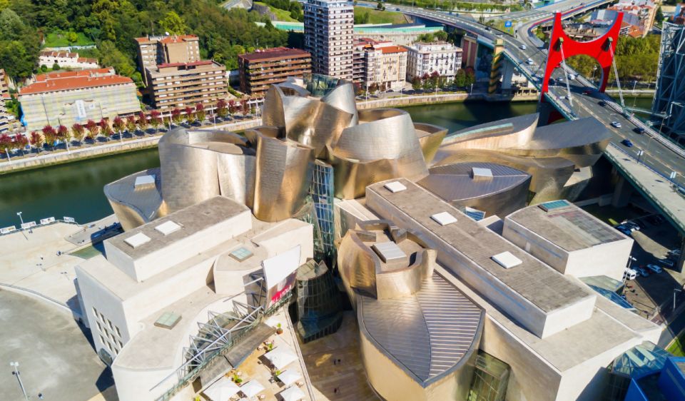 Guggenheim Museum Bilbao Private Tour With Official Guide - Key Points