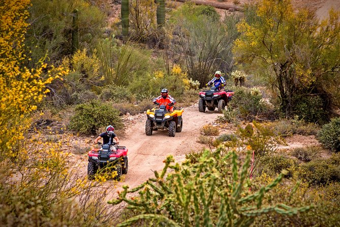 Guided Arizona Desert Tour by ATV - Key Points