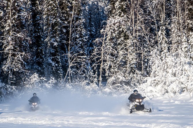 Guided Fairbanks Snowmobile Tour - Tour Highlights