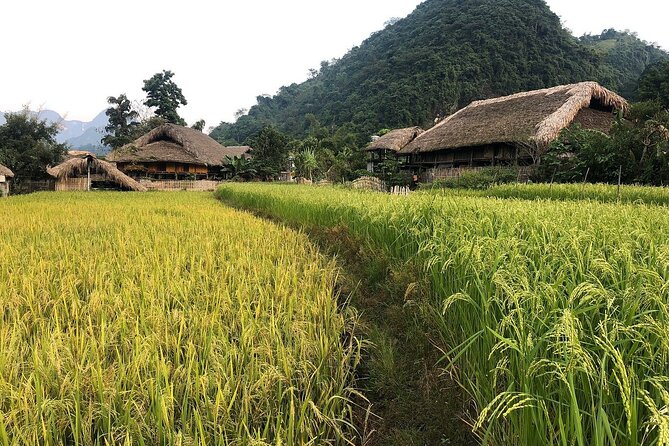 Ha Giang Comfort Car Ride 4D3N - Overview of Ha Giang Tour