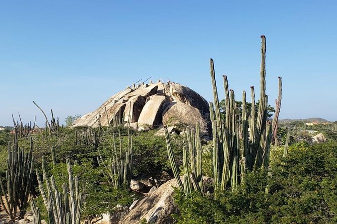 Half-Day Aruba Island Tour From Oranjestad - Highlights of the Tour