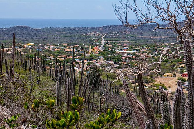 Half-Day Bonaire Island Tour With Hotel Pickup and Drop-Off - Tour Highlights and Itinerary