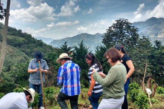 Half-Day Coffee Tour at Family Farm Close to Medellín - Key Points
