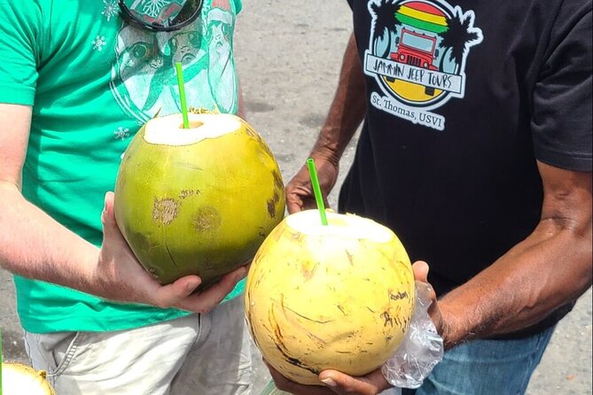 Half Day Cultural Jeep Adventure - 4 Hr Tour St. Thomas - Overview of the Tour