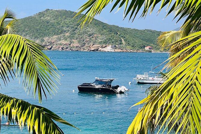 Half Day Luxury Catamaran Turtle Snorkel And Beach - Overview of the Excursion