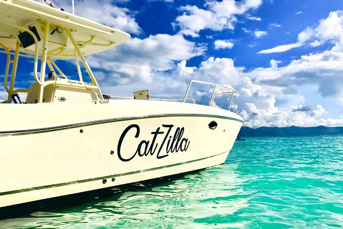 Half-Day Private Charter From St John - Activities and Options