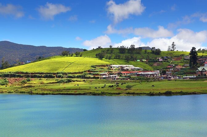 Half-Day Private Trip to Waterfalls and Tea Factory - Key Points