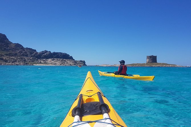 Half Day Sea Kayak Trip - Key Points